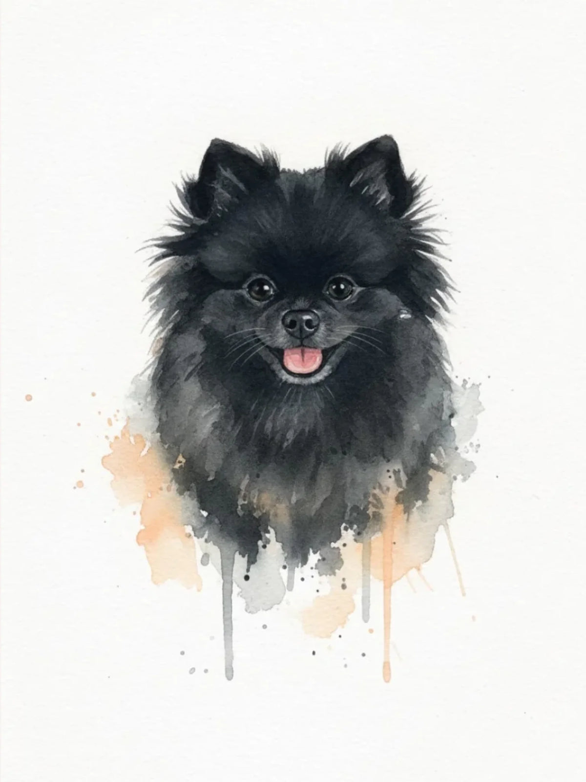 ais-full-base